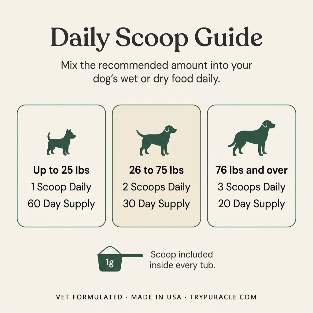 Daily scoop guide