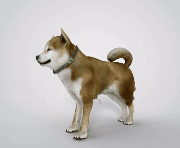 Animation: the PawClover pendant on a dog's collar forming a shield against fleas and ticks