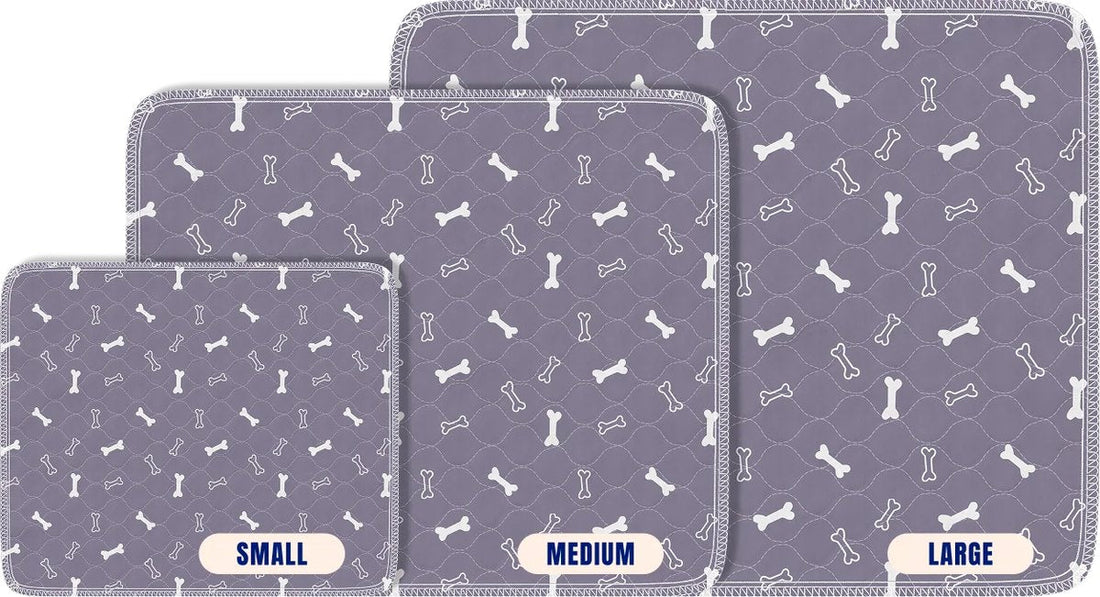 Small, Medium and Large side by side