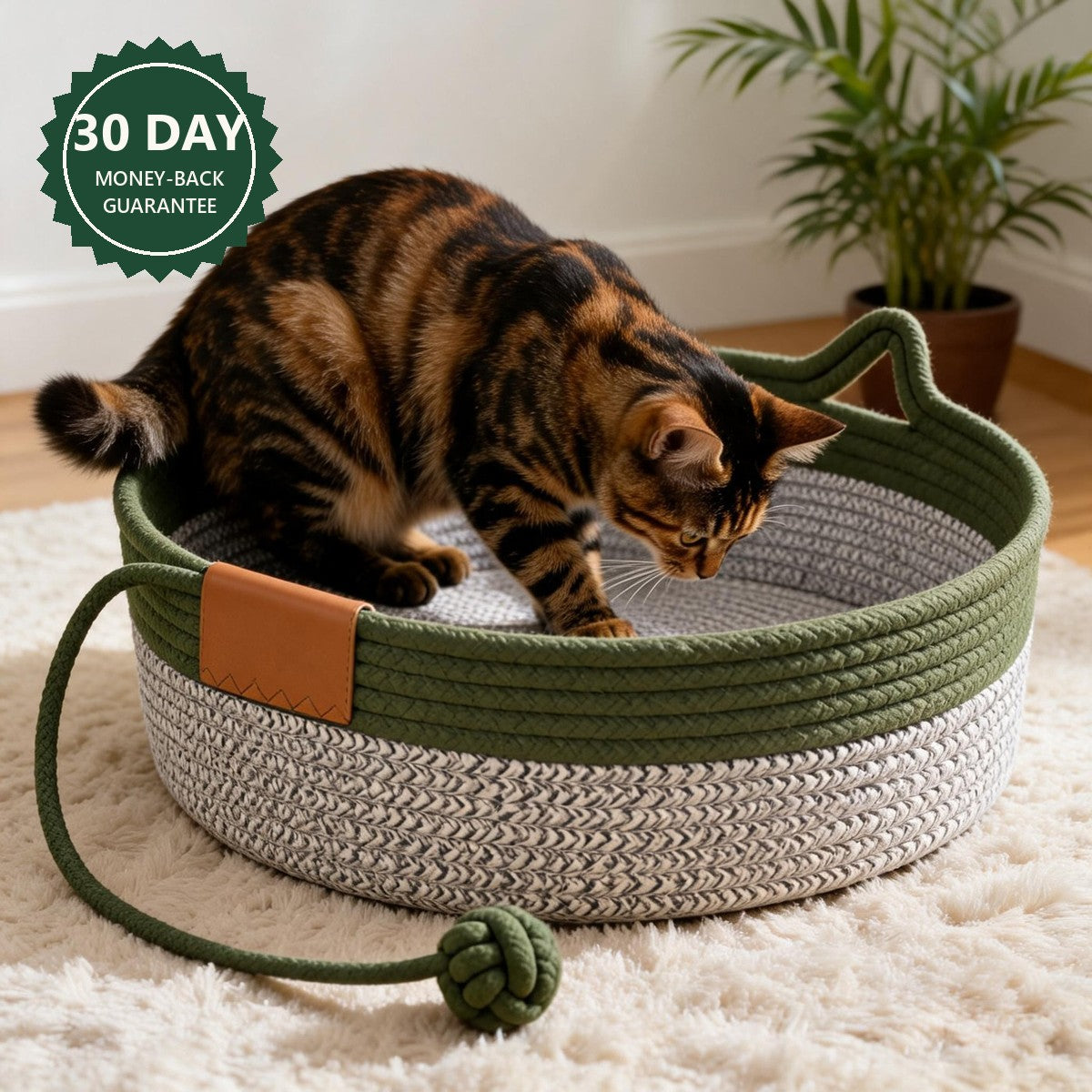 Cat kneading the rim of the Clover Basket