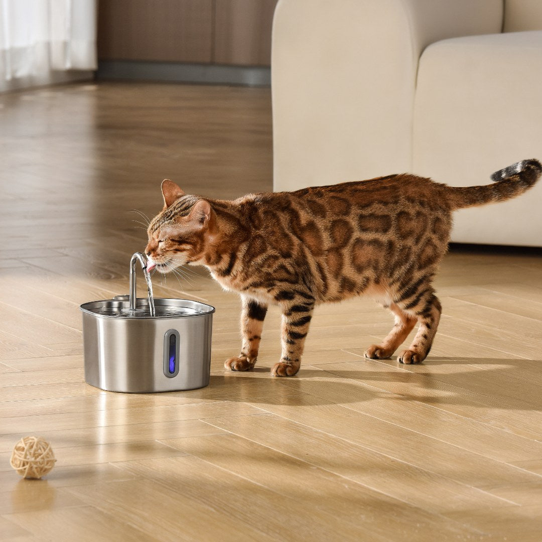 A cat drinking from the spout