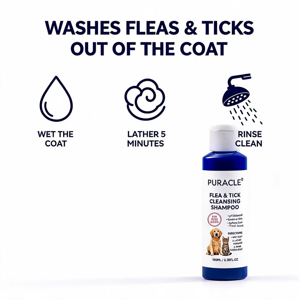 Wet the coat, lather five minutes, rinse clean