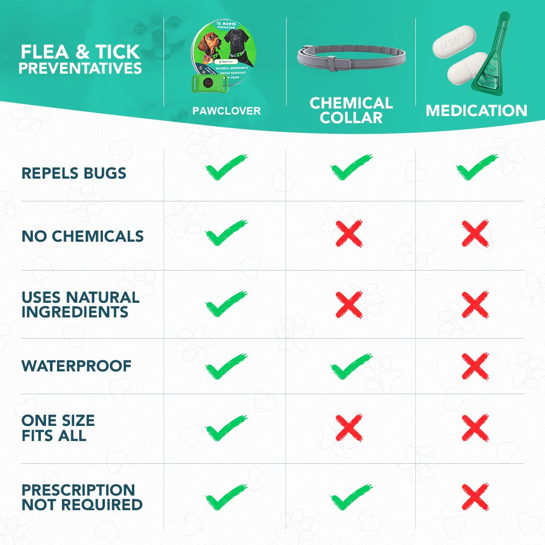 Comparison: PawClover pendant vs chemical collar vs medication