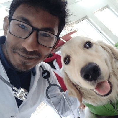 Veterinarian with a golden retriever