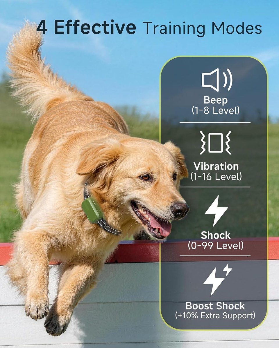 Four training modes: beep, vibration, shock and boost shock
